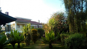 Homebase gardens, Nakuru